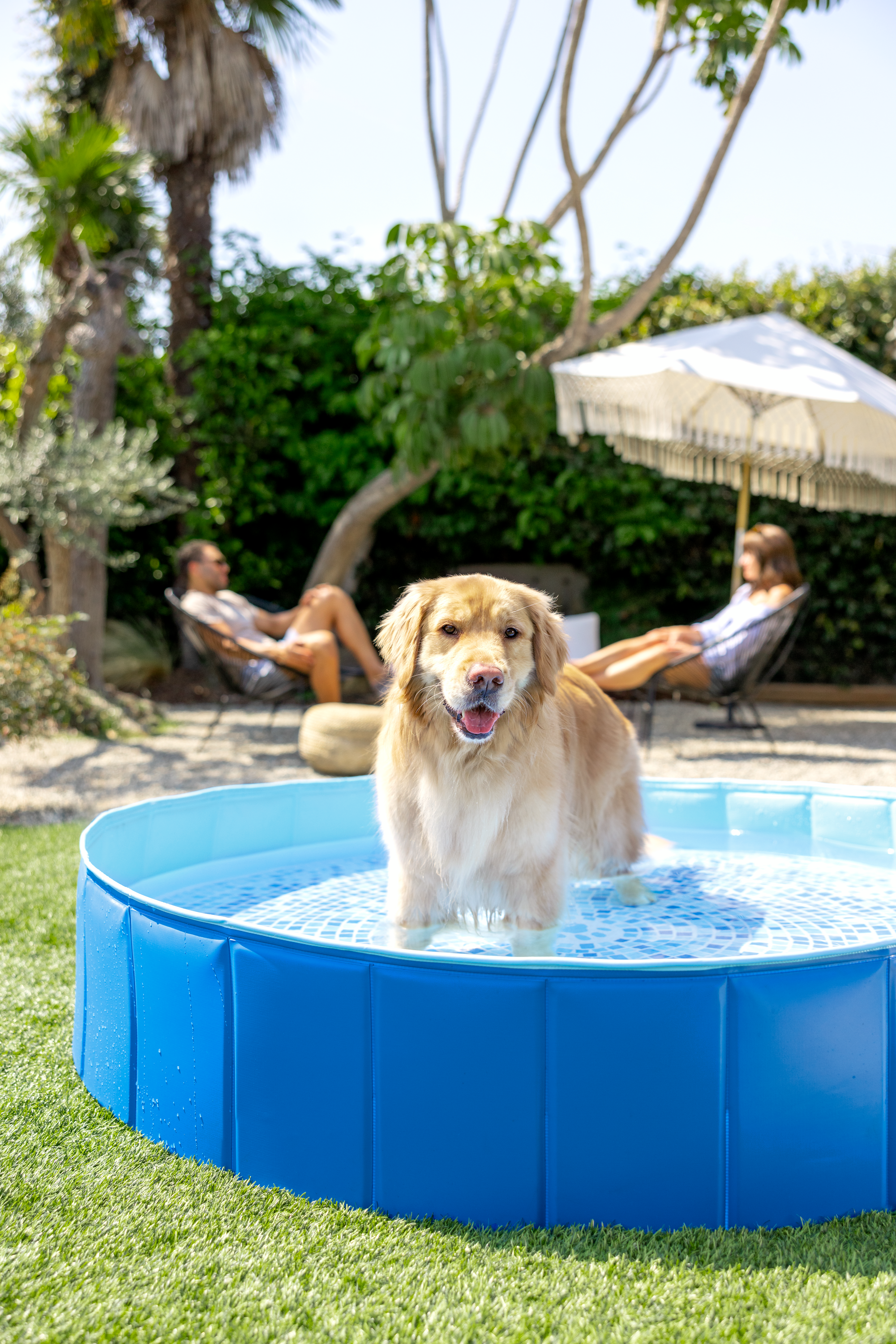 Bazen za kućne ljubimce - 1.52 x 0.3m - Image 8