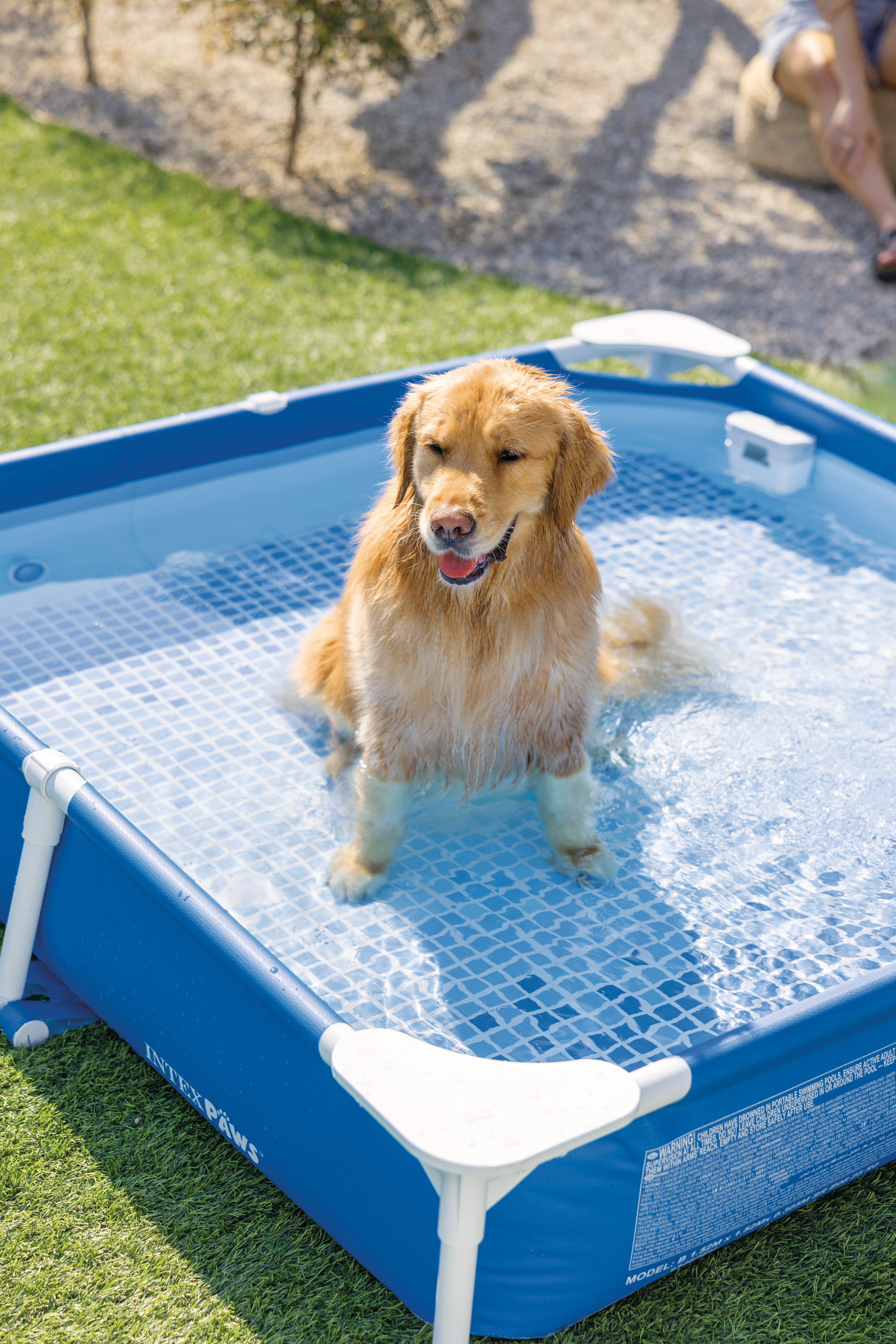 Bazen za kućne ljubimce sa filter pumpom - 1.52 x 1.52 x 0.3m - Image 9