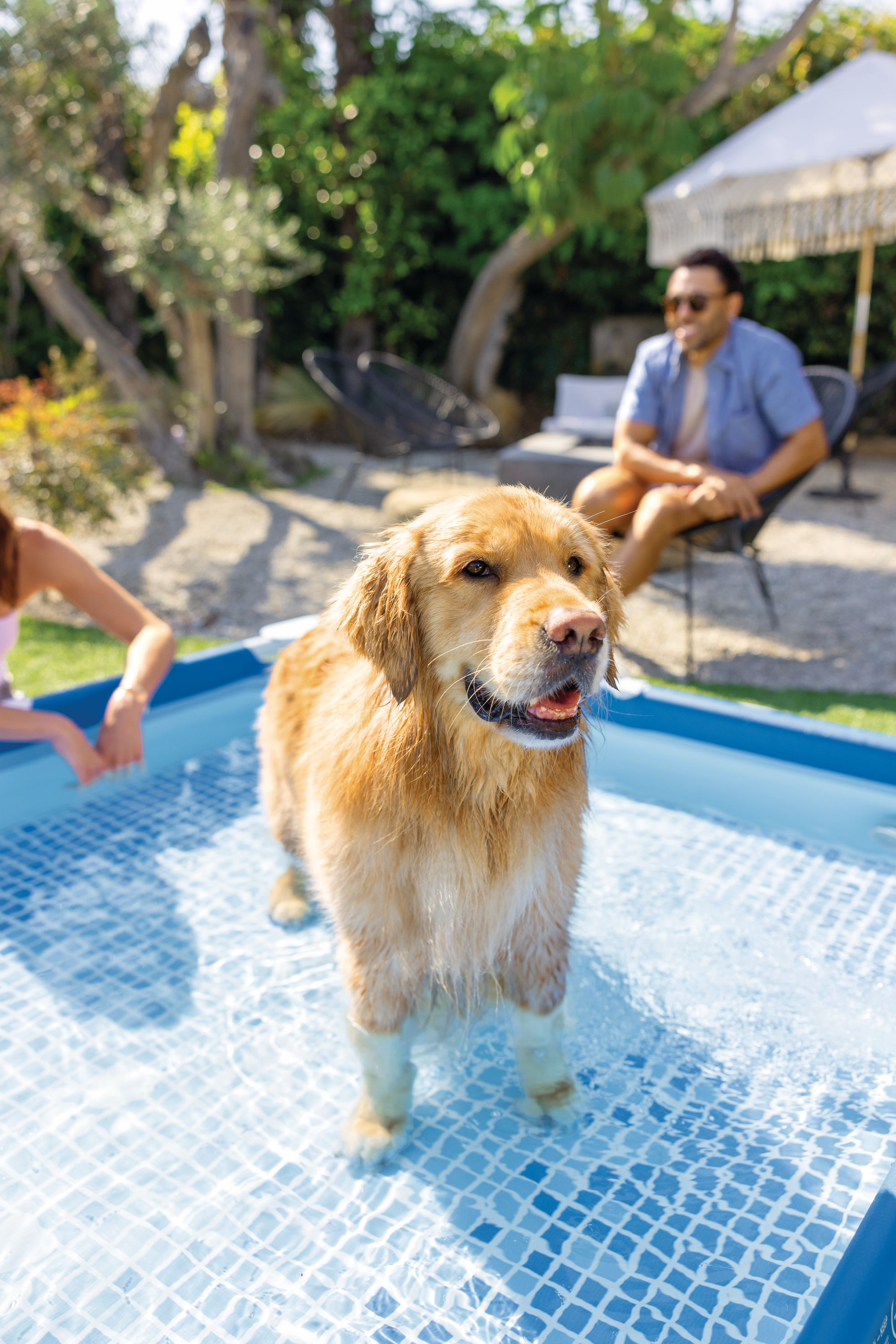 Bazen za kućne ljubimce sa filter pumpom - 1.52 x 1.52 x 0.3m - Image 7